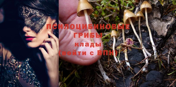 герыч Бронницы