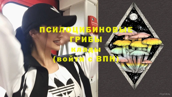 герыч Бронницы