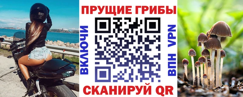 Купить где Сосенский Псилоцибиновые грибы MAGIC MUSHROOMS